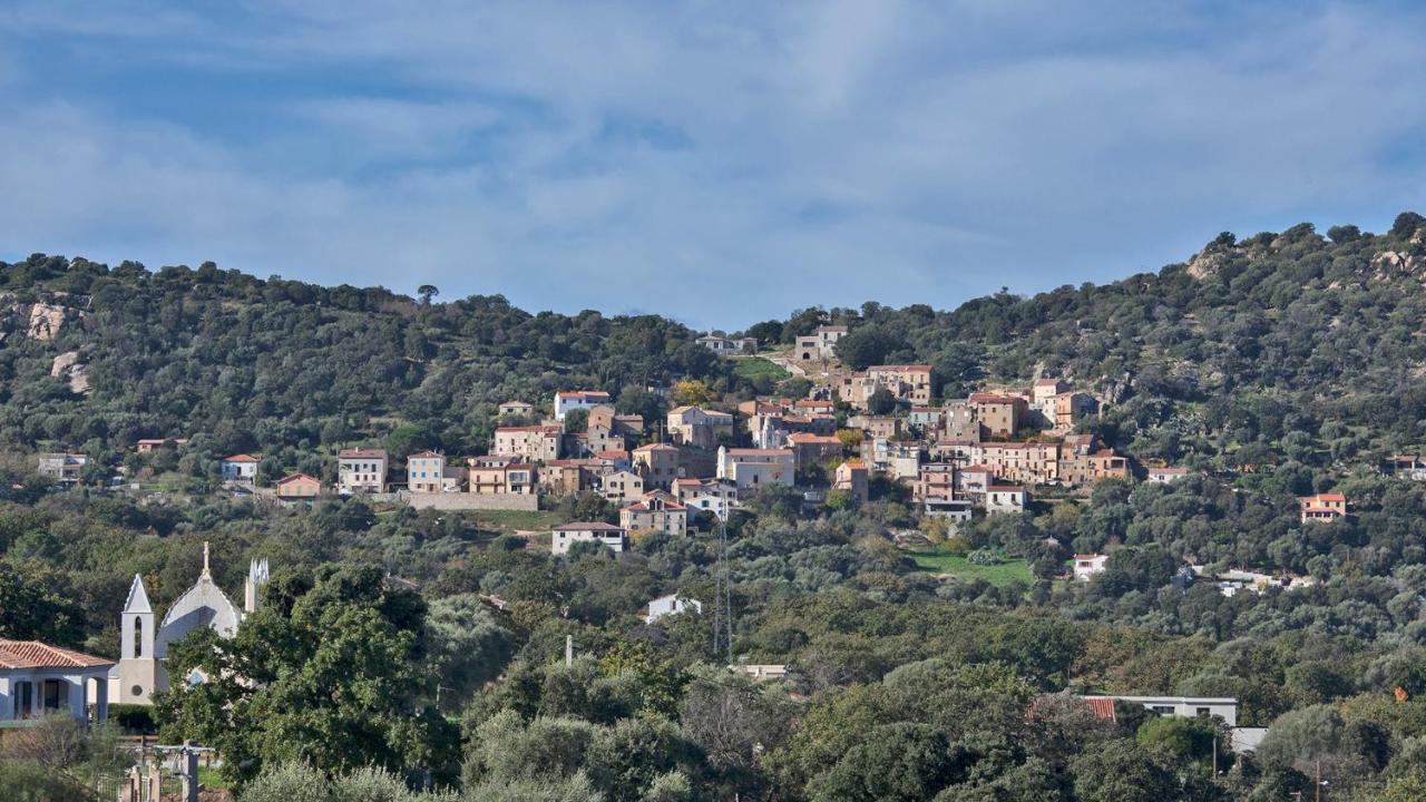 דירות Locations קלנצאנה מראה חיצוני תמונה